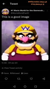 A screenshot of WARIO
